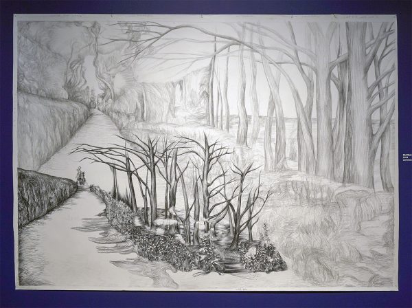 Danielle Lemaire - Did Nick Walk Here - Conte en potlood op papier