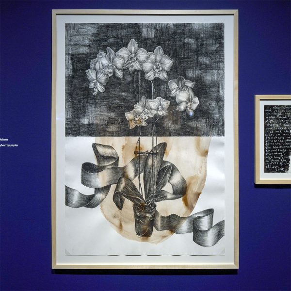 Danielle Lemaire - Night and Day, Why Is It So - Conte, potlood en acrylverf op papier