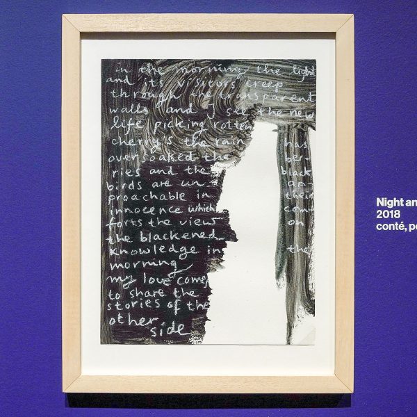 Danielle Lemaire - The Lights and its Visitors - Pastelkrijt en acrylverf op papier