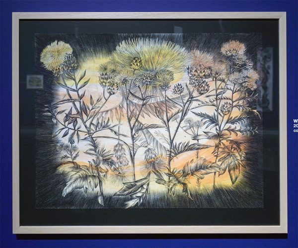 Danielle Lemaire - William Morris's Alion - Conte, potlood en acrylverf op papier