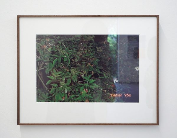 Julian Sirre - Thank You - 20x29cm C-print