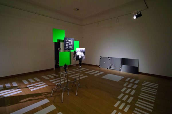 Hito Steyerl - How Not to Be Seen, A Fucking Didactic Educational,MOV File - Eenkanaals HD-video in architecturale omgevingssculptuur, kleur en geluid, 15,52minten, 2013