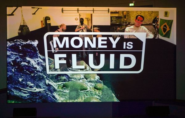 Hito Steyerl - Liquidity - Eenkanaals HD-video in architecturale omgevingssculptuur, kleur en geluid, 30,15 minuten, 2014