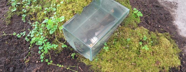 Net als de voorgaande jaren levert de academie van Utrecht ook dit weer een flinke lading talenten af. Veel kunstenaars kunnen rechtstreeks de kunstgaleries in. Toch knaagt er dit jaar [&hellip;]