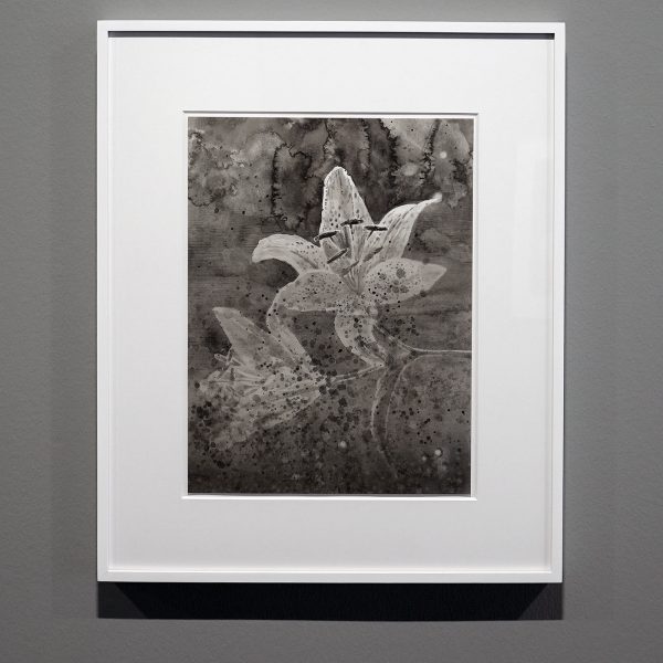 Hans Op de Beeck - Lily (study) - 59x49cm, Zwart en witte waterverf op Arches papier