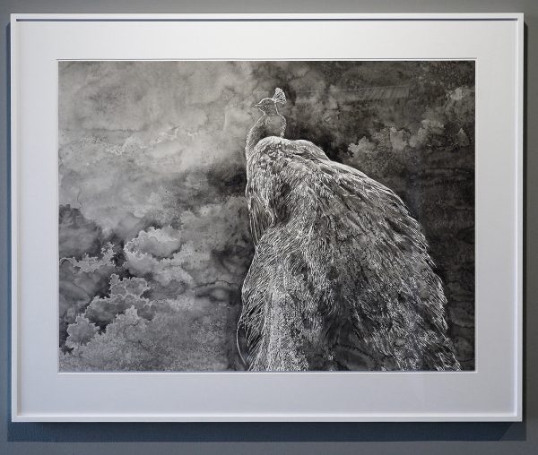 Hans Op de Beeck - The White Peacock (dark day) - 81x100cm, Zwart en witte waterverf op Arches papier