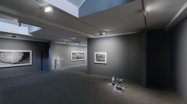 Hans Op de Beeck overzicht