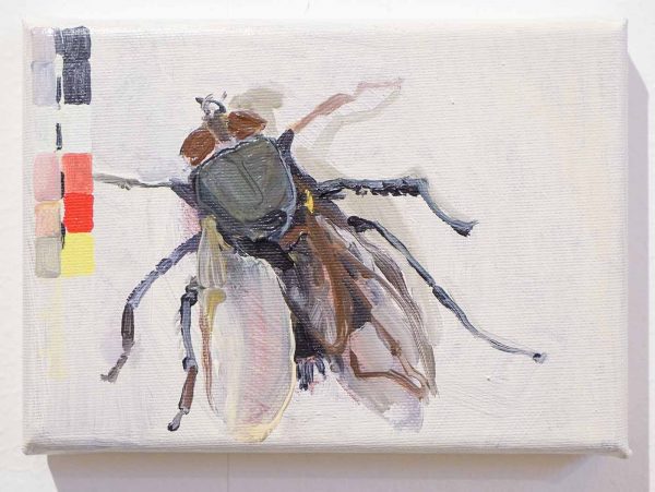 Maurits van de Laar Galerie - Andrea Freckmann