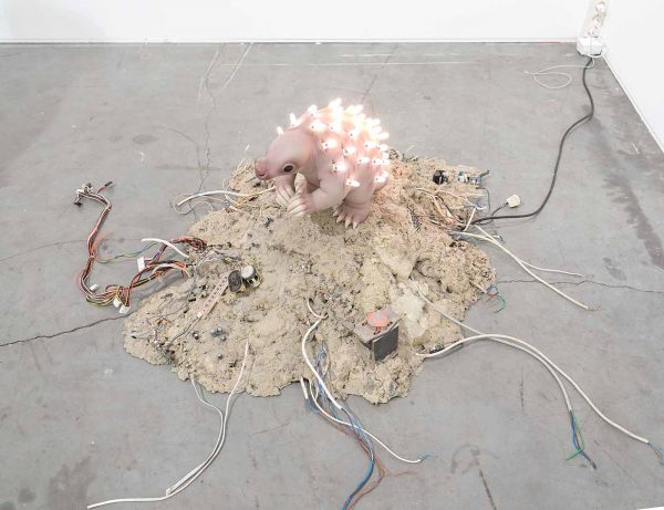 NL=US - Margriet van Breevoort