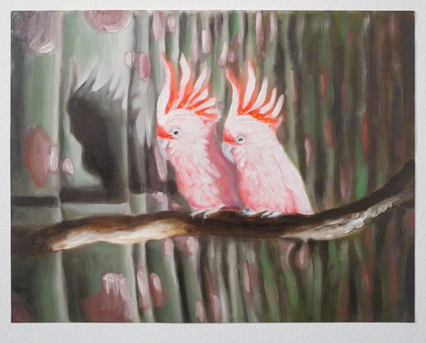 Contempo - Klaas Jonkman