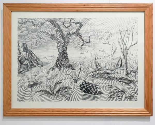 Getekend Galerie - Hans Schuttenbeld