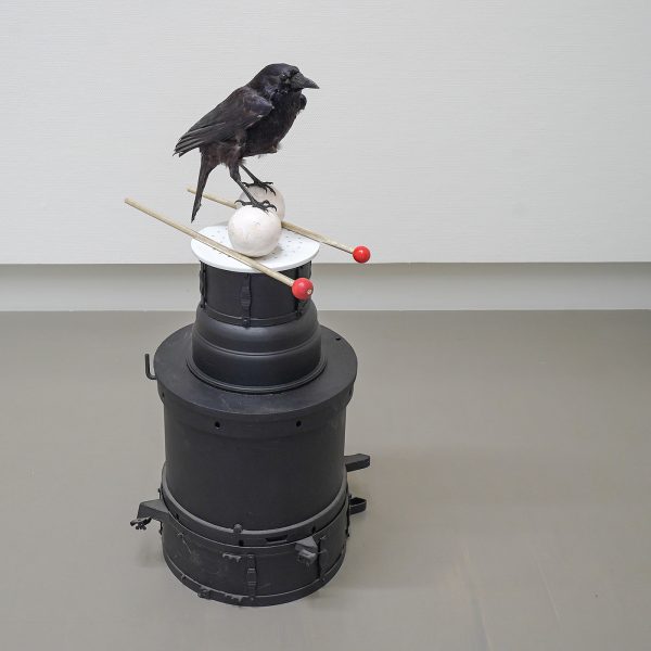 Gijs Assmann - Vanitas (Voor Karel) - Trommels, verf, porselein, keramiek, hout, bladzilver en opgezette kraai