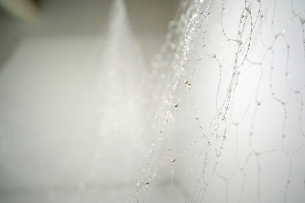 Jiajia Qi - Who Listens, At Dust - Hars en nylon draad (detail)