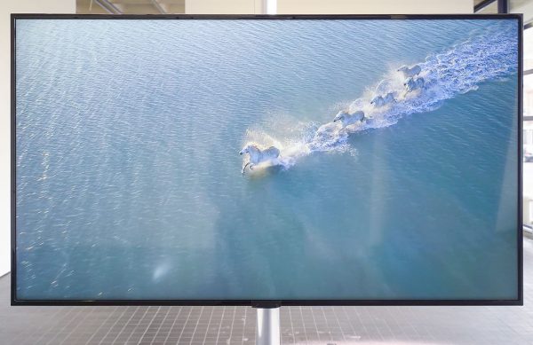 Katherina Heil - Placebo - 400cm, Zand, pigment, aluminium paal, gevonden video. 2HD schermen (detail)