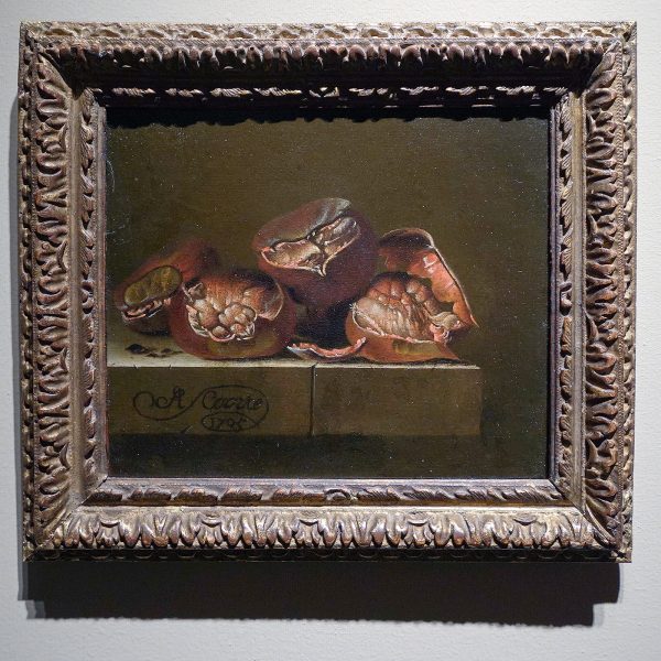 Koetser Gallery - Adriaen Coorte