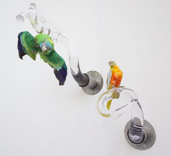 Backstage Academy - Juhee Han