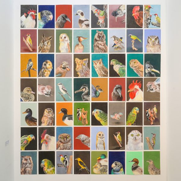 Joli Galerie - Jacobien de Rooij