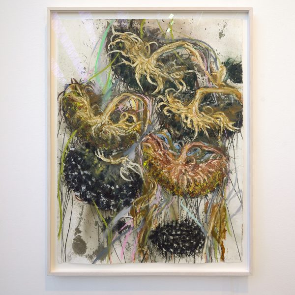 Joli Galerie - Reinoud van Vught