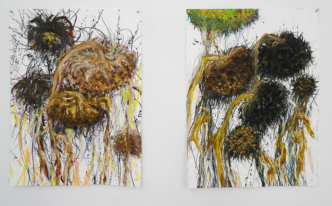 Reinoud van Vught - Dode Zonnebloem III & II - 76x56cm, Siberisch krijt, pastel, houtskool, oliepastel en Oost-Indische inkt op papier