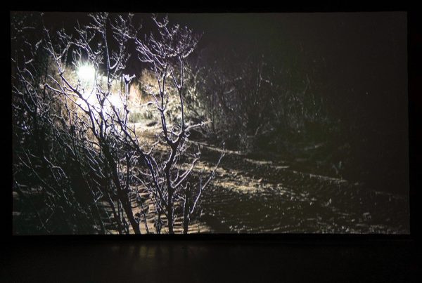 Astrid Felicia Ardagh