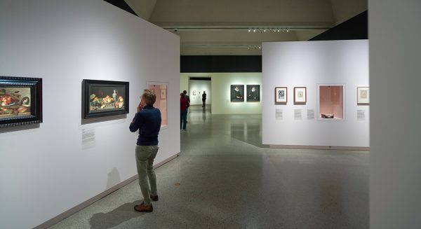 David Bailly overzicht