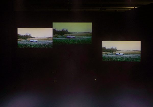 Dimme (Dimme van Harten)