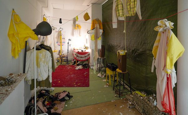 Paloma Jet Plantenga