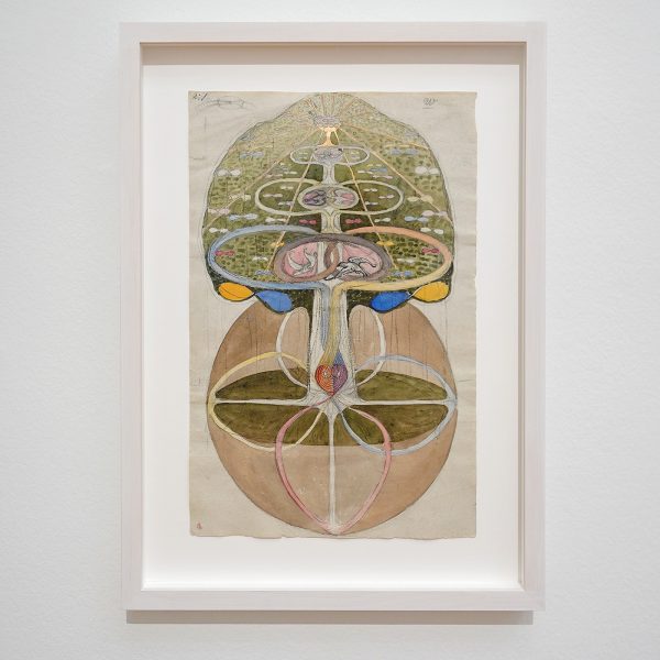 Hilma af Klint - Boom der wijsheid, Serie W, nr 1, 2, 3, 4, 5, 6, 7a & 7b - Waterverf, gouache, potlood en inkt op papier, 1913-1915