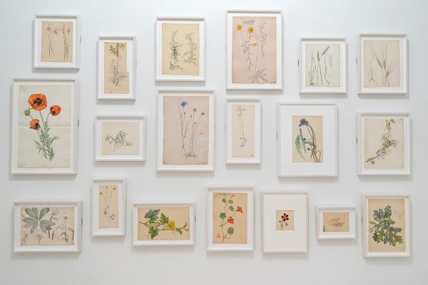 Hilma af Klint - Diverse werken op papier, ongedateerd