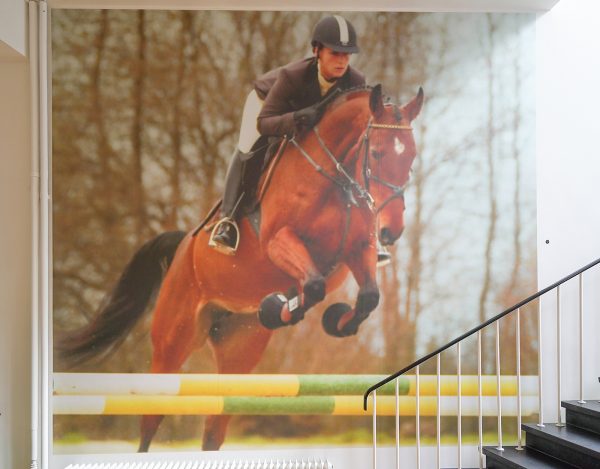 Megan Francis Sullivan - Image from 'Hunter Class; practical tips for riders, trainers and organizers - Vinyl fotoprint