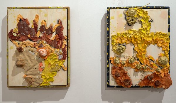 Fleur & Wouter Galerie - Natacha Mankowski