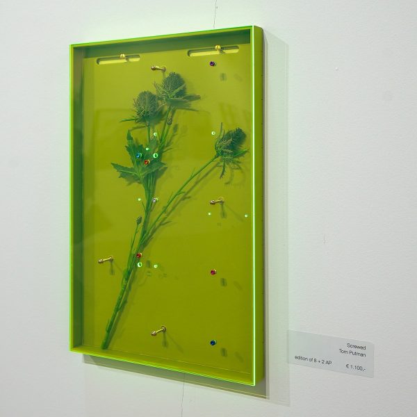 Heejsteck# - Tom Putman