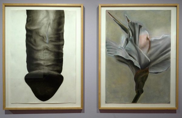 Ina van Zyl - His & Sharp Objects - Houtskool en pastel op papier