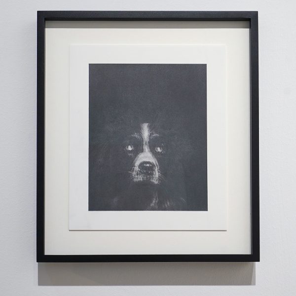 Upstream Gallery - David Haines