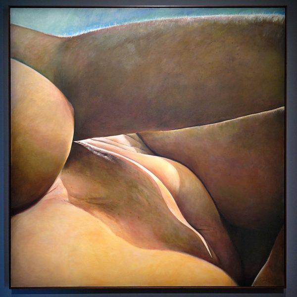 Joan Semmel - Secret Spaces - Olieverf op doek