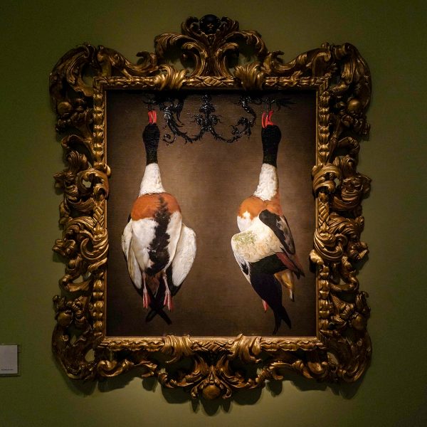 Nicholas Hall - Cesare Dandini