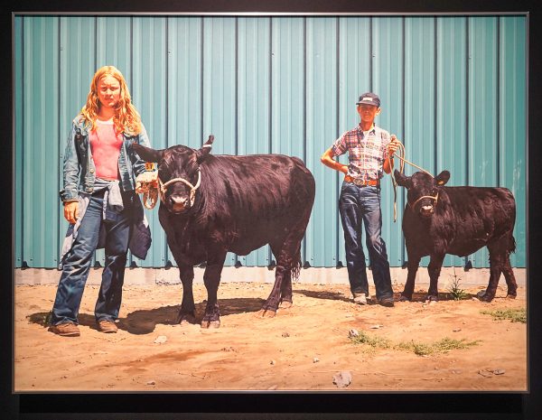 Richard McLean - Angus with Blue Butler - Olieverf op doek