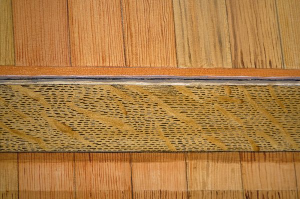 Sylvia Plimack Mangold - Floor With Horizontal Mirror - Acrylverf op doek (detail)