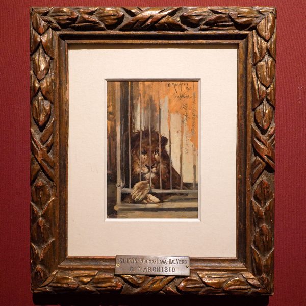 Terrades Galerie - Andrea Marchissio