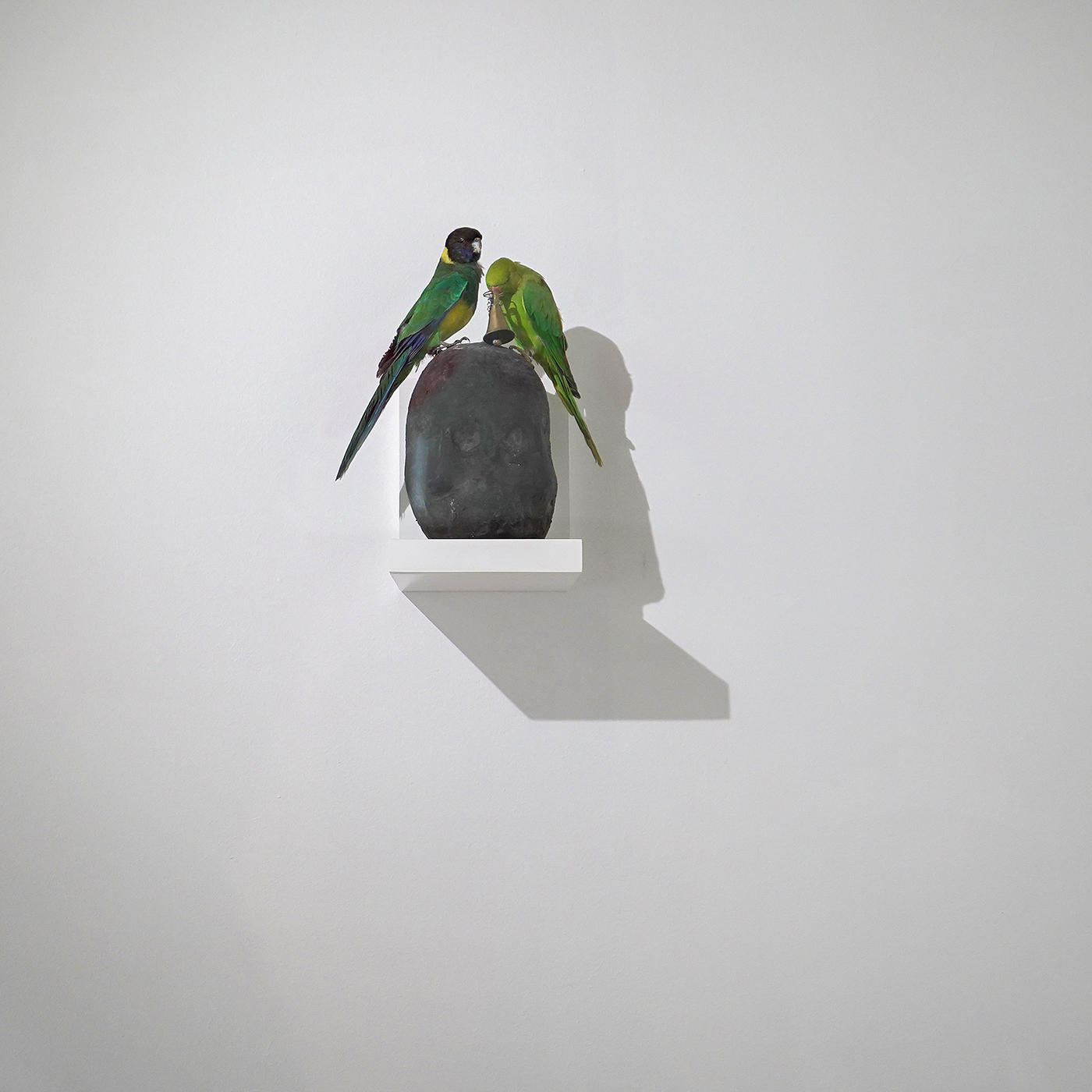 Gijs Assmann - Vanitas (voor Ton) (I) - Aseemblage met opgezette vogels, koper, gepatineerd brons