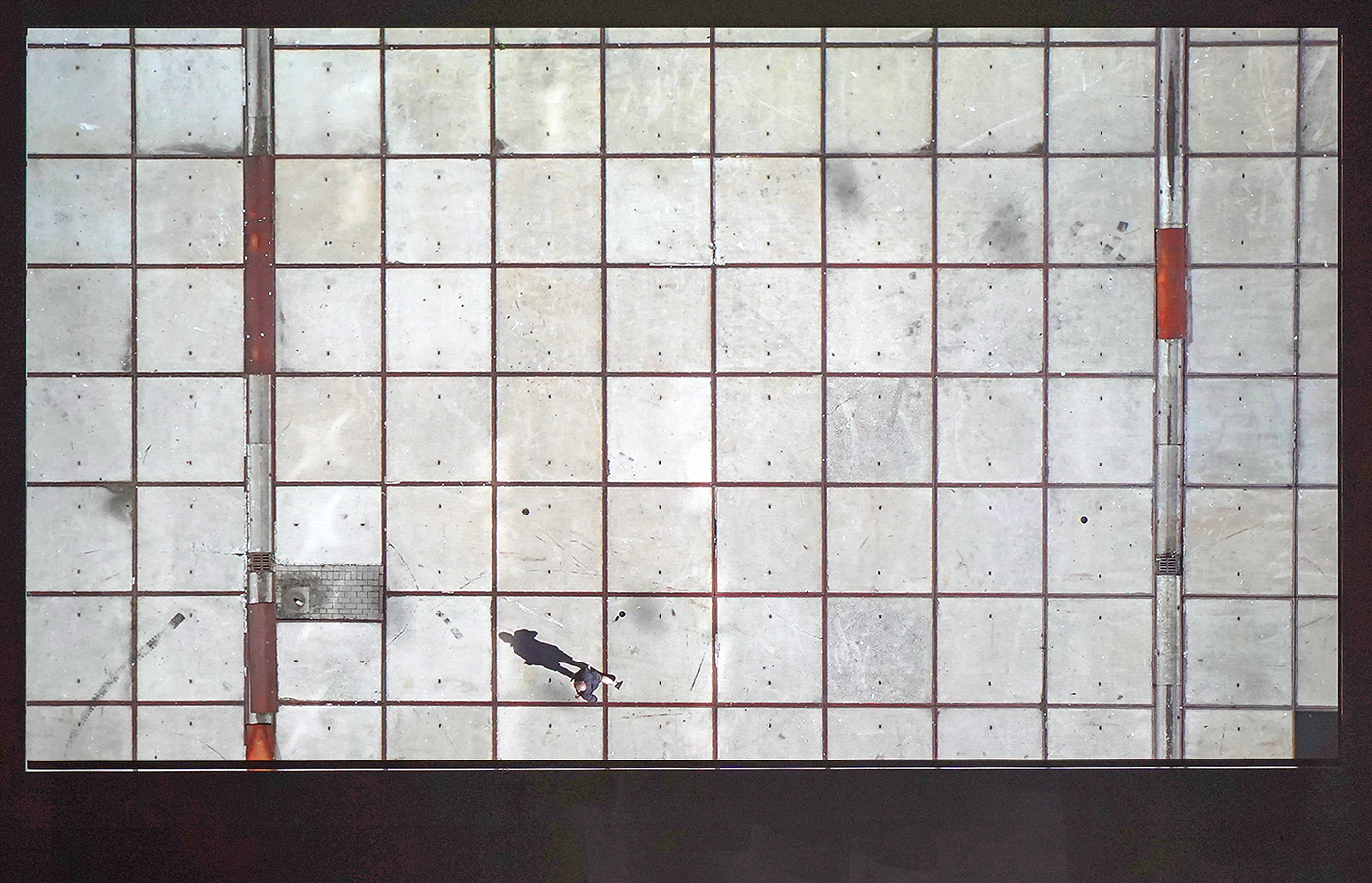 Jeroen Jongeleen - GRID * Seagulls protecting nests, Corona 14 - 7,23minuten Video