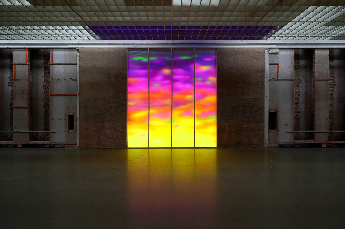 Peter Greenaway - The Physical Self - Collectiepresentatie aangevuld met mensen in de Bodonzaal