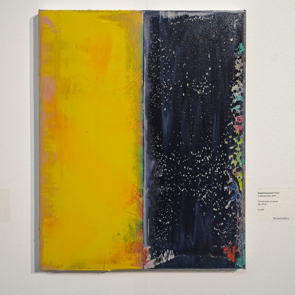 BorzoGallery - Ronald Zuurmond