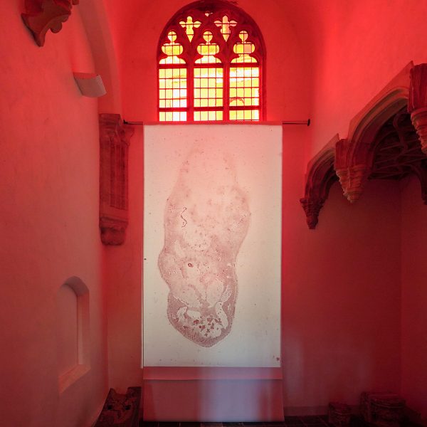 Navid Nuur - Ours - Opgedroogde traan op glas, diaprojector en papier