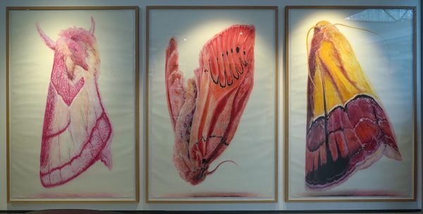 Janknegt Gallery - Roos Holleman