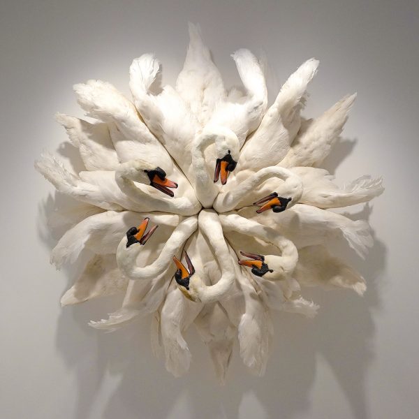 Jaski - Les Deux Garcons