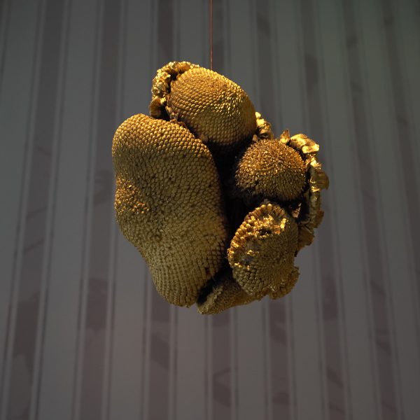 Alberto Scodro - Sunflower #around - Brons