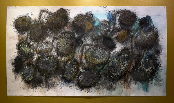 Reinoud van Vught - Stervende zonnebloemen - Inkt, houtskool, oliestick ne pastel op papier