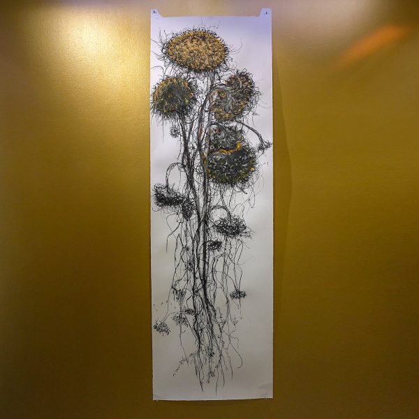 Reinoud van Vught - Stervende zonnebloemen - Inkt, houtskool, oliestick ne pastel op papier