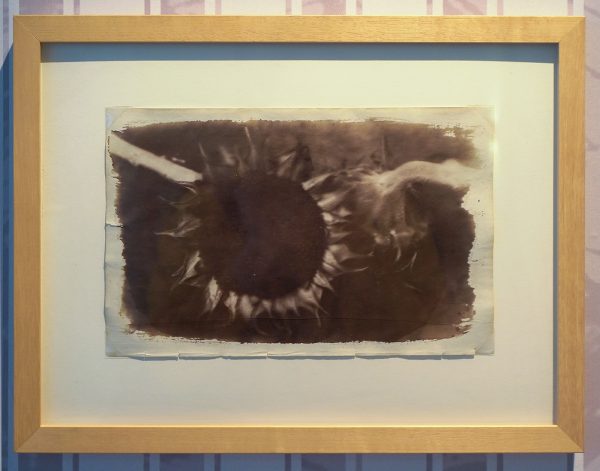 Salvo - Uit het Engelen-Manuscript - Zoutdruk op papier